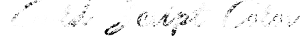 Guld Script Color