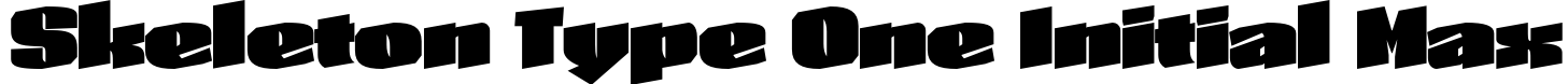 Skeleton Type One Initial Max