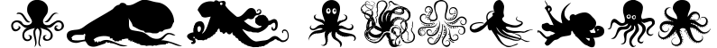 The Octopus