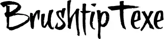 BrushtipTexe
