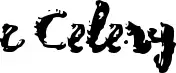 c Celery