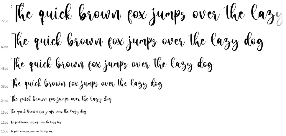 Carnation Scriptfont waterfall
