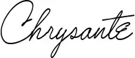 Chrysante