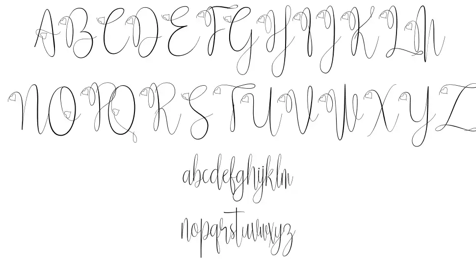 Delissa Scriptfont specimens