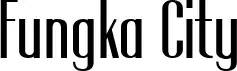 Fungka City