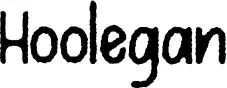 Hoolegan