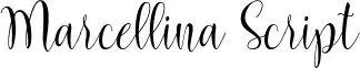 Marcellina Script