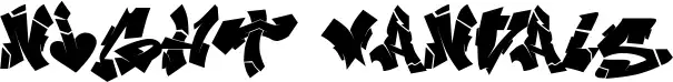 Night Vandals