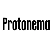 Protonema