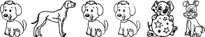 Pupies