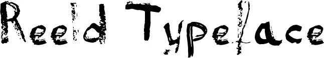 Reeld Typeface