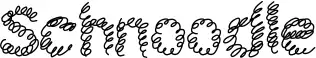 Schnoodle