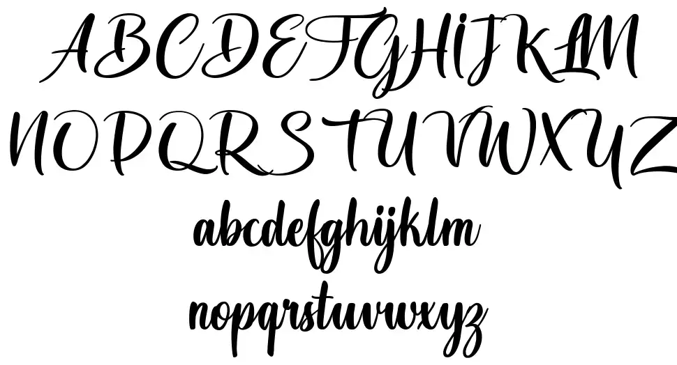 The Whiskerfont specimens